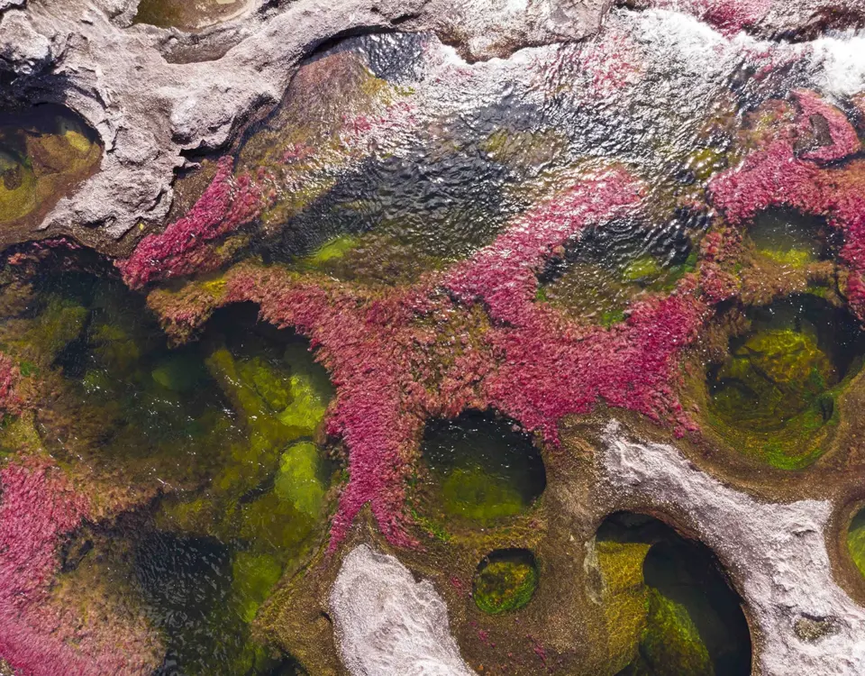 Caño cristales, el río de los 7 colores en La Macarena, Meta, Colombia.